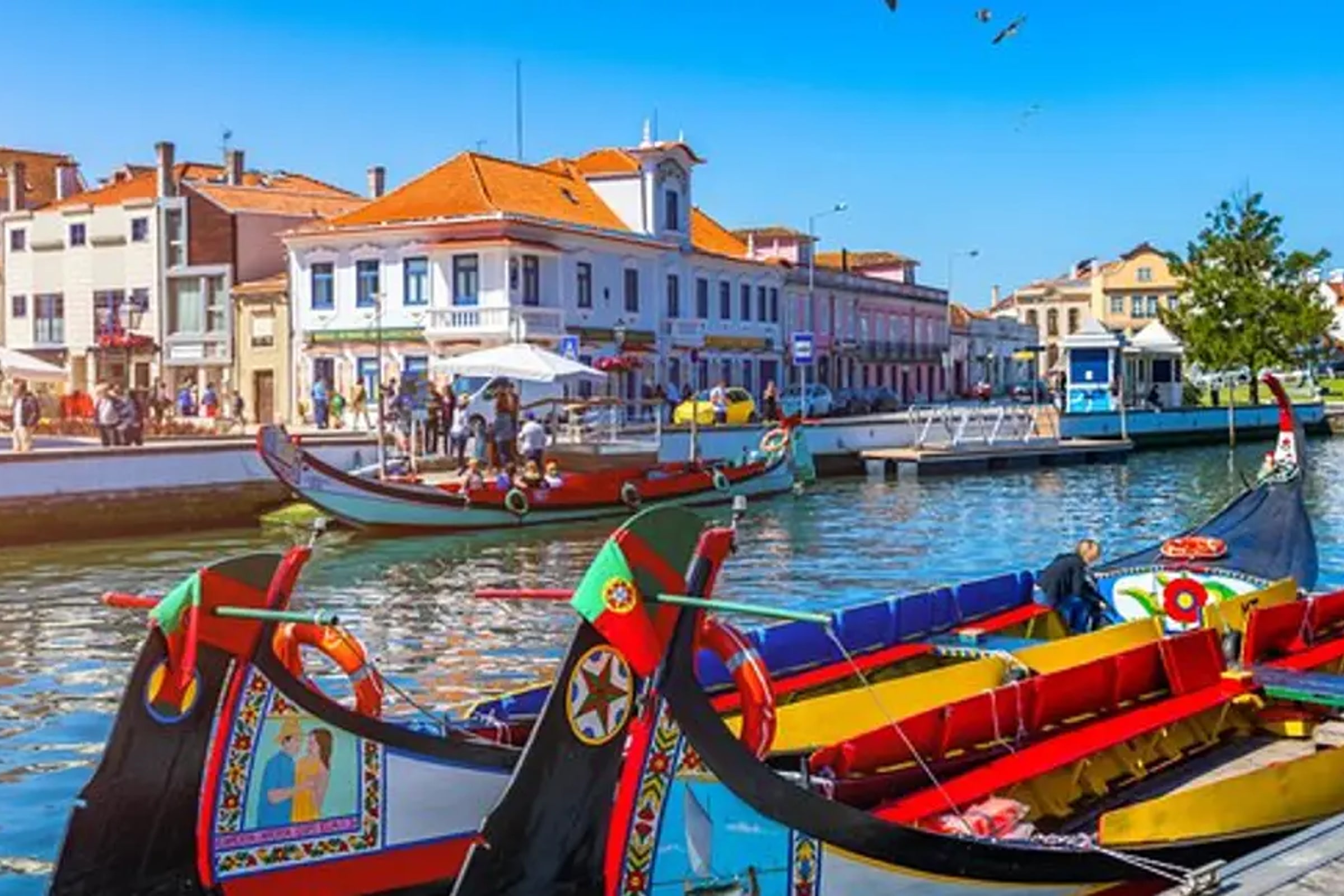 Aveiro & Costa Nova Half Day Tour from Porto with Moliceiro River Cruise